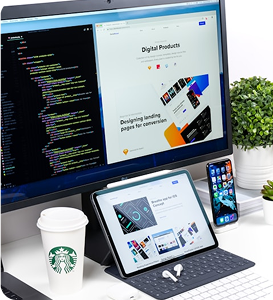 Web development